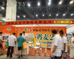 2012河南省夏季種子信息交流暨產(chǎn)品展覽會 組織文化藝術交流活動側記